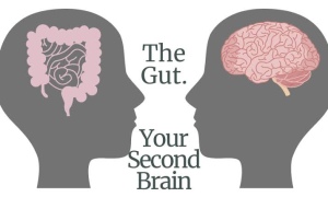 Mind-gut connection 