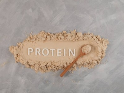 Whey vs Plant Protein – Which Is Better for Fitness and&nbsp;Digestion?